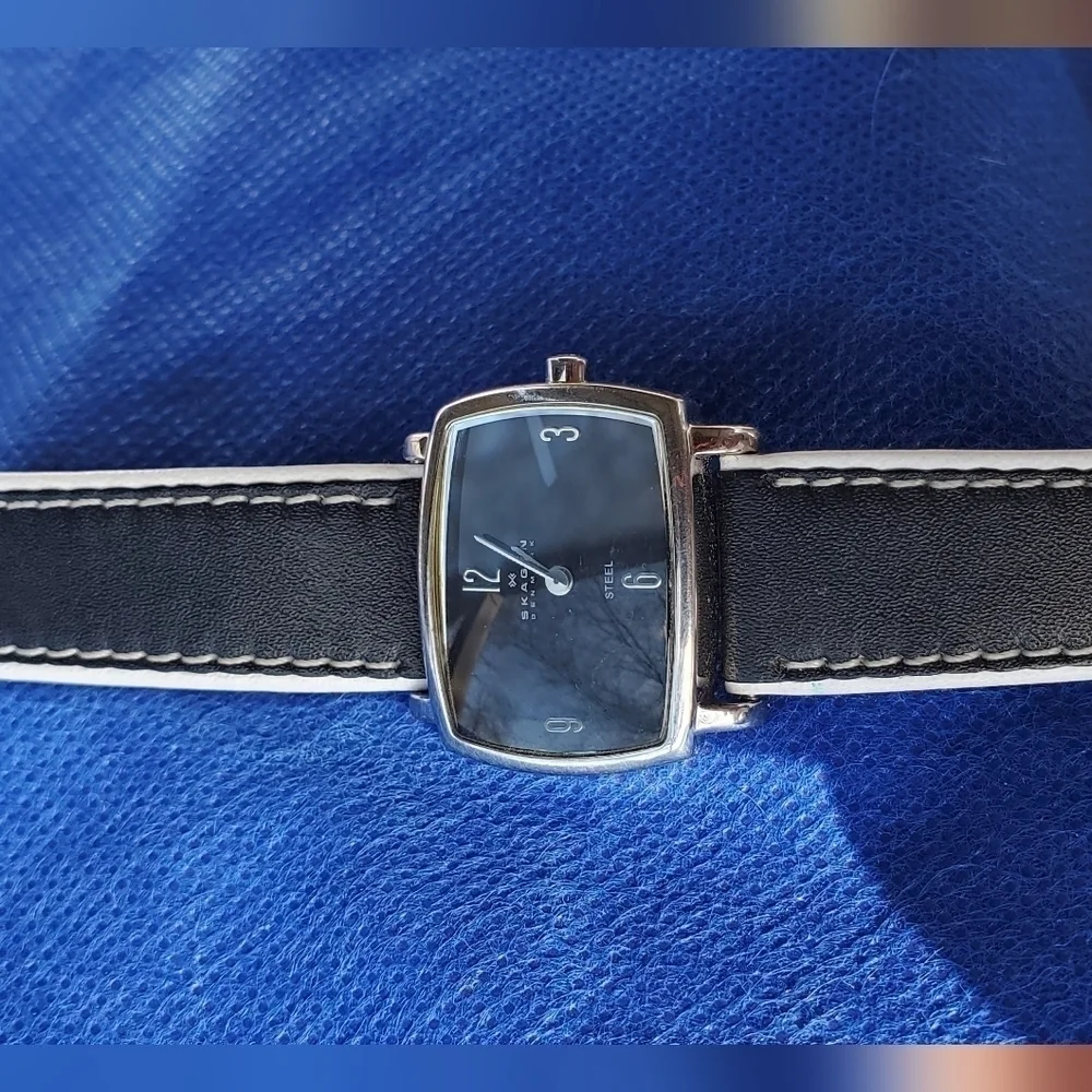 Skagen Denmark Slim Water Resistant Battery Operated Bracelet Watch